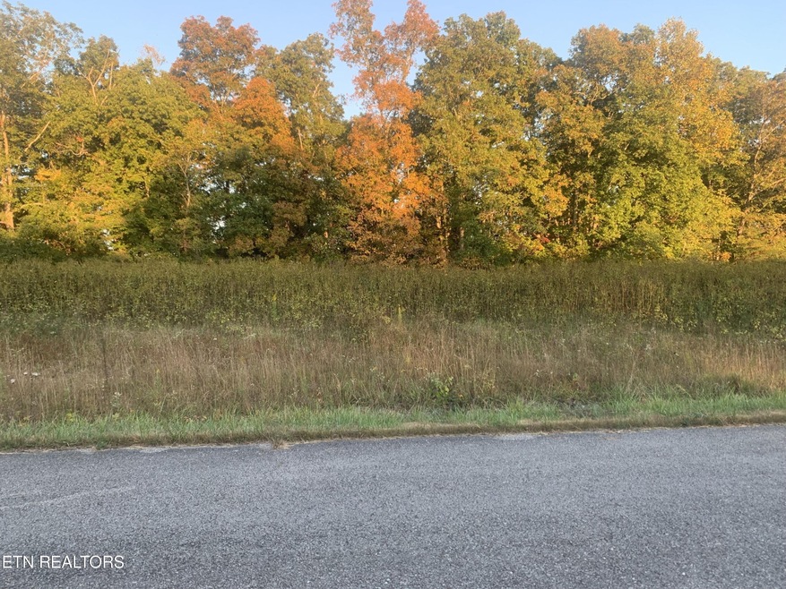 0 Tanner Way unit RTC2930572, Crossville, TN 38555 - photo 1