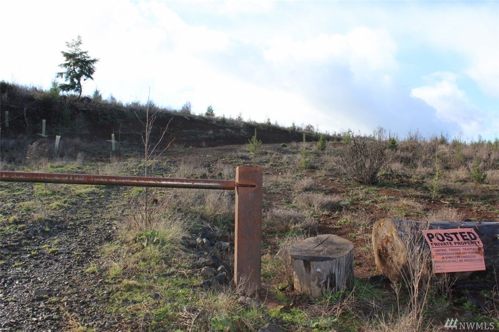 0 Xxx Slide Creek Rd, Longview, WA 98632 - photo 1