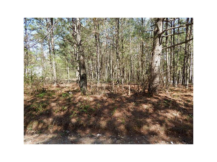 144 N Raburn Rd, Bremen, GA 30110 - photo 1