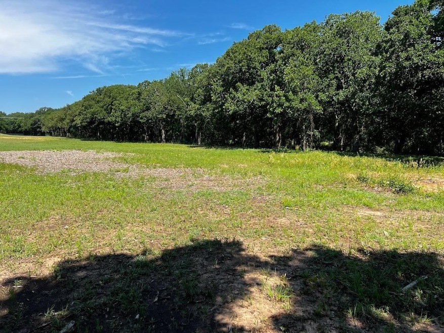 1201 Agnes Cir, Springtown, TX 76082 - photo 1