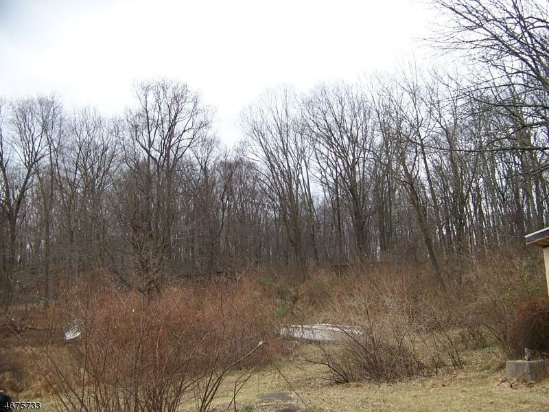 129 Spring Ln, Washington, NJ 07882 - photo 1