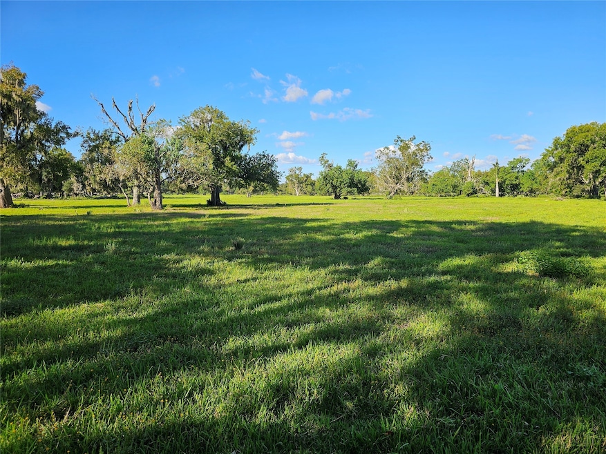 0 Cr-506 unit 88472236, Brazoria, TX 77422 - photo 1