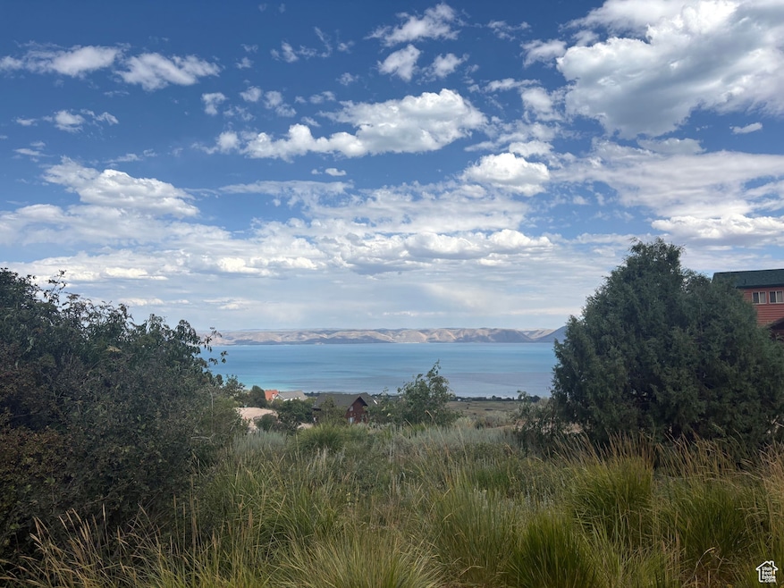 347 Juniper Dr unit 481, Fish Haven, ID 83287 - photo 1