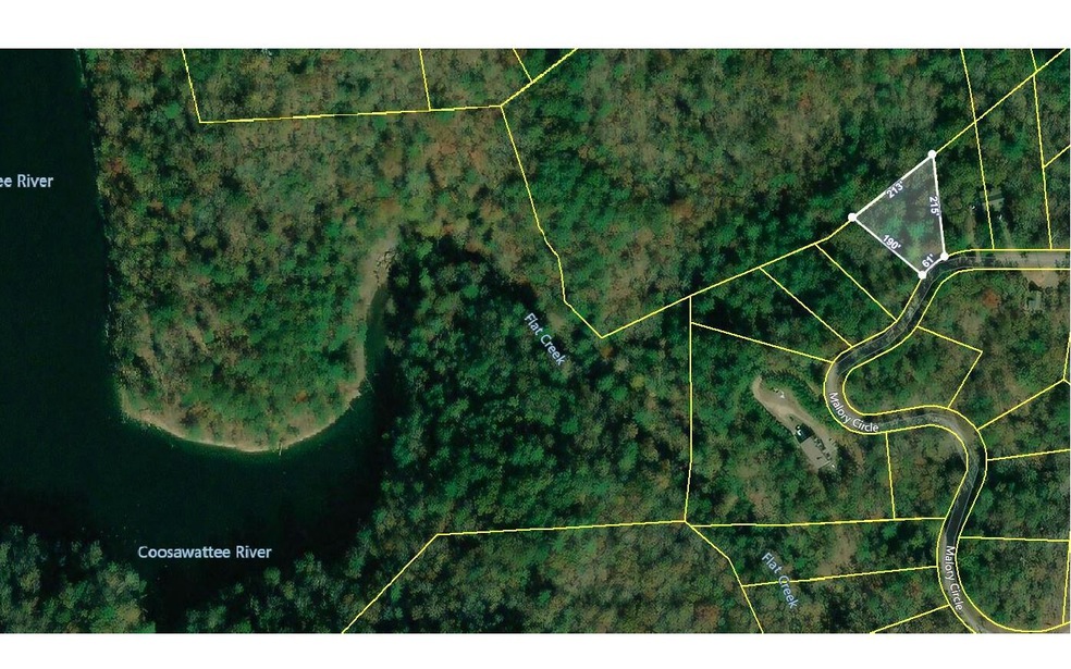 L1460 Mallory Cir, Ellijay, GA 30540 - photo 1