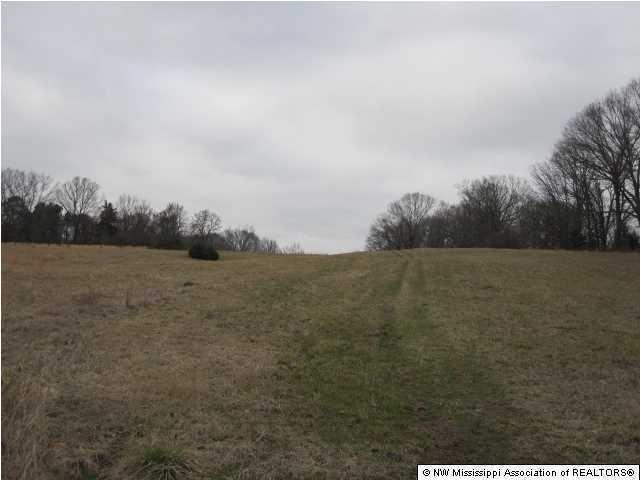 200 Ranch Rd, Hernando, MS 38632 - photo 1