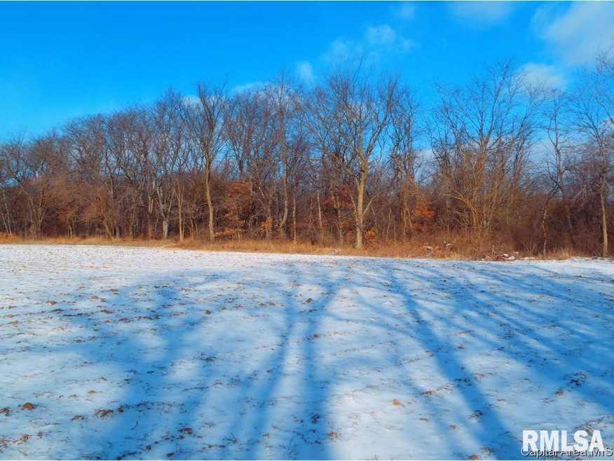 0 Gridley Rd, Virginia, IL 62691 - photo 1