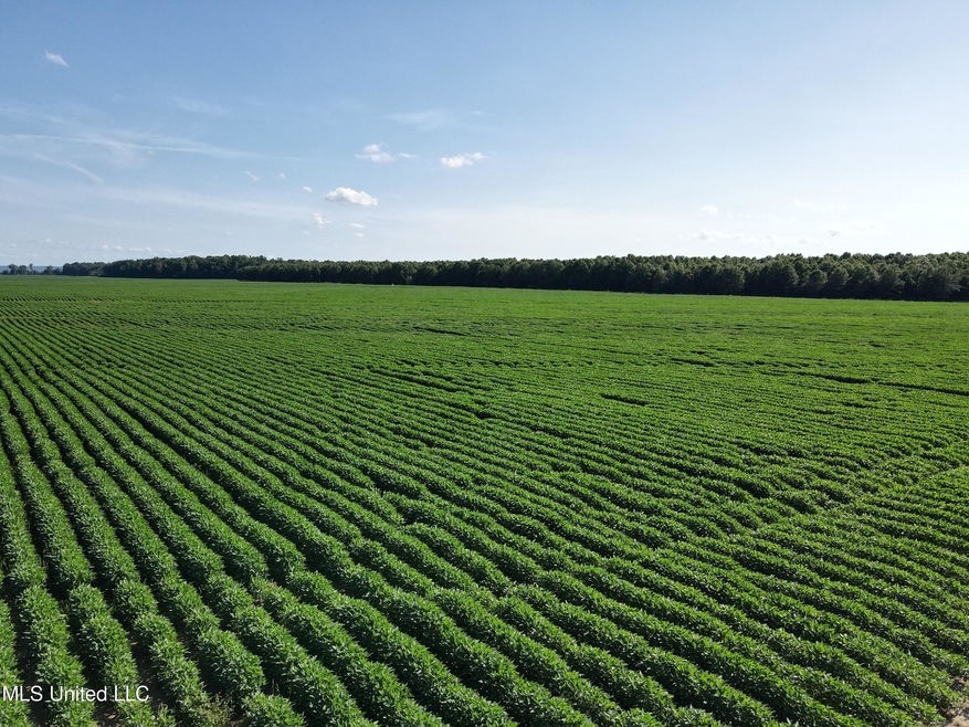 Ag Land