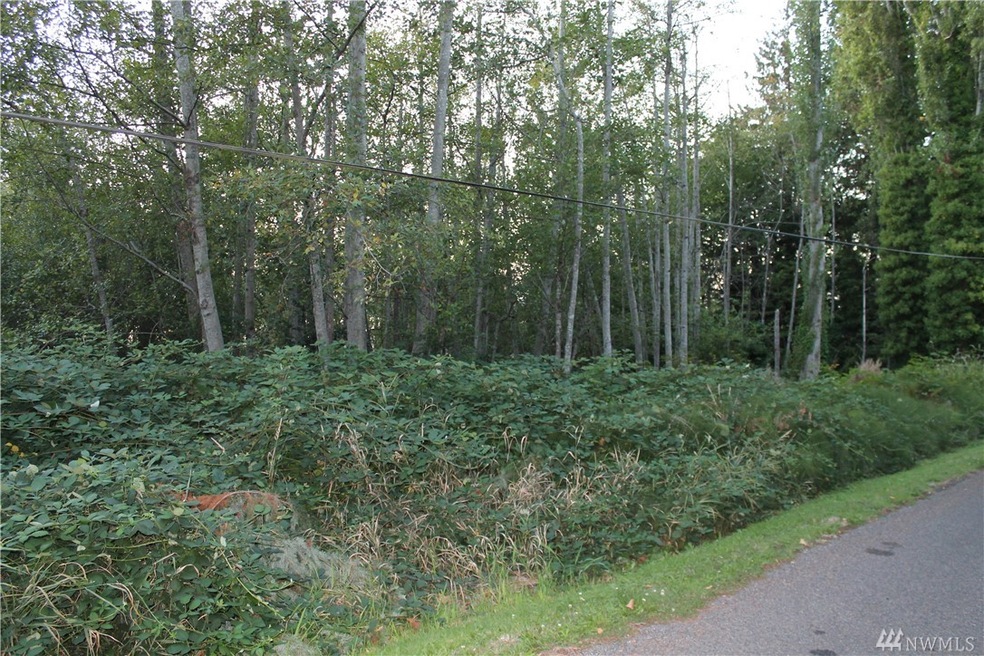 189 Clarence, Stanwood, WA 98292 - photo 1