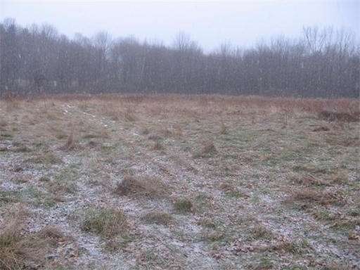 4 Plumtree Rd, Sunderland, MA 01375 - photo 1