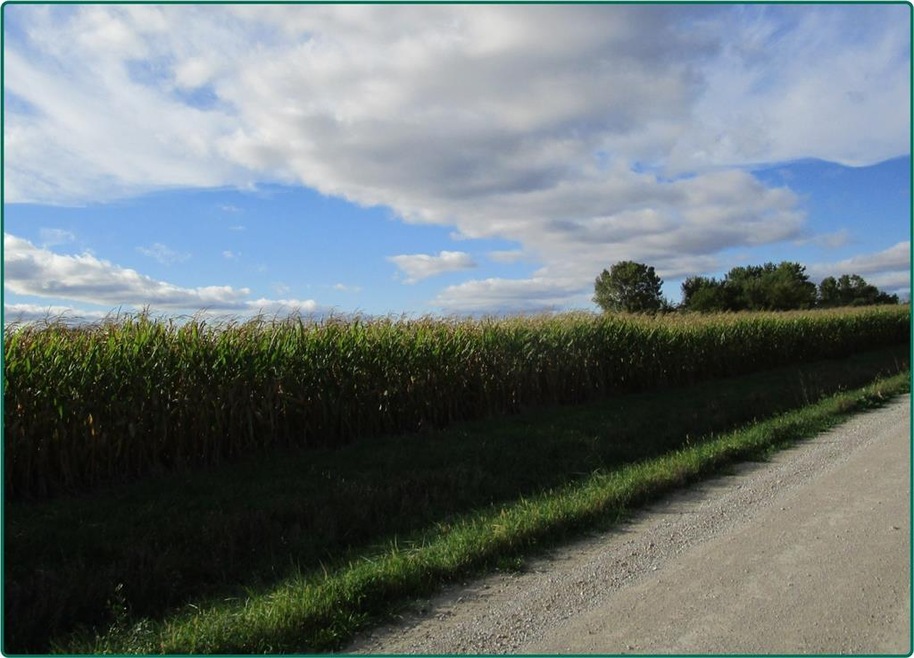 0 Rolling Acres Rd, Walker, IA 52352 - photo 1
