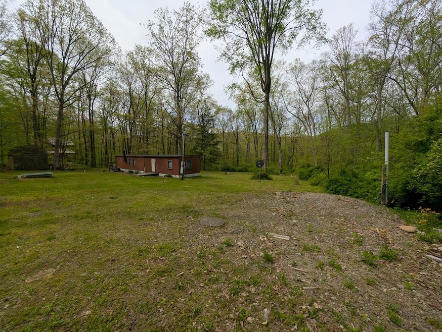 Main View