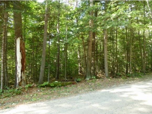 0 Gilman Point Rd unit 4379794, Moultonborough, NH 03254 - photo 1