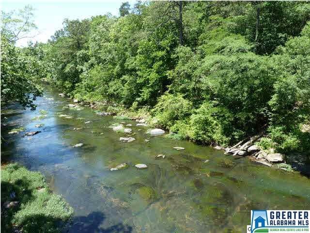 Over 300' of frontage on the Cahaba River