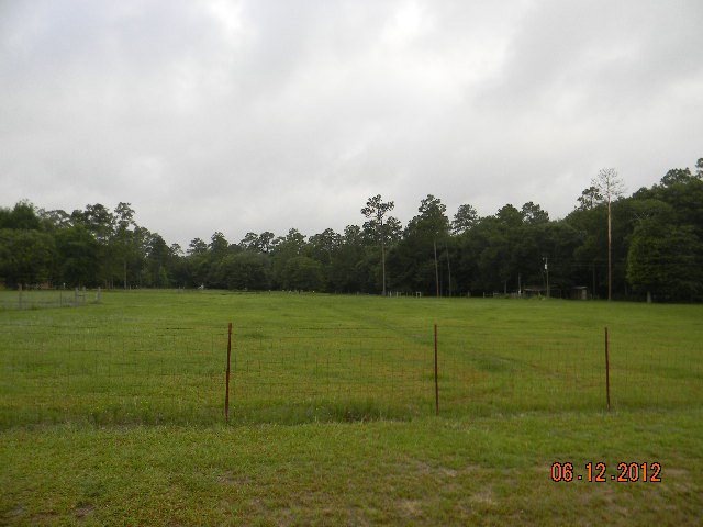 10 acres Bustle Rd, Coolidge, GA 31738 - photo 1