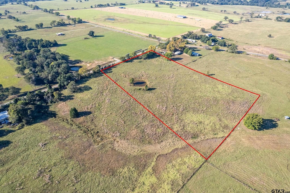 000 County Road 4331, Larue, TX 75770 - photo 1