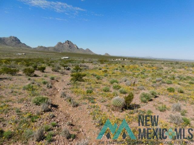 0 San Mateo Rd unit 20231657, Deming, NM 88030 - photo 1