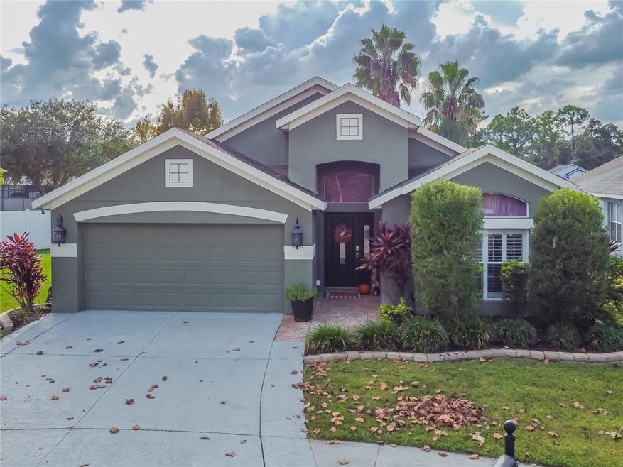 6920 Bluff Meadow Ct, Wesley Chapel, FL 33545 - photo 1