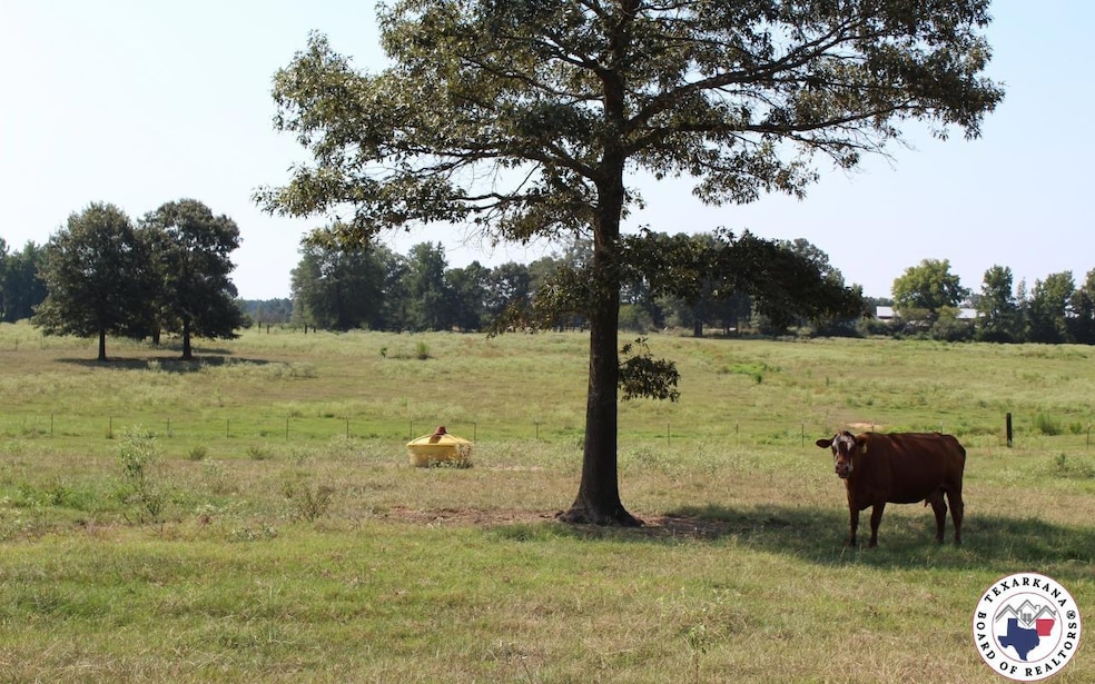 TBD Mc 10 & 268, Fouke, AR 71854 - photo 1