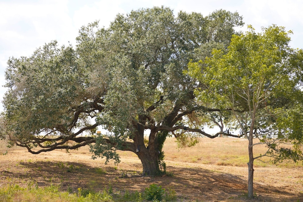3139 Fm 956, Schulenburg, TX 78956 - photo 1