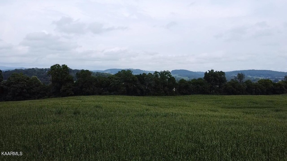 0 Clark Rd unit 1209395, Rutledge, TN 37861 - photo 1