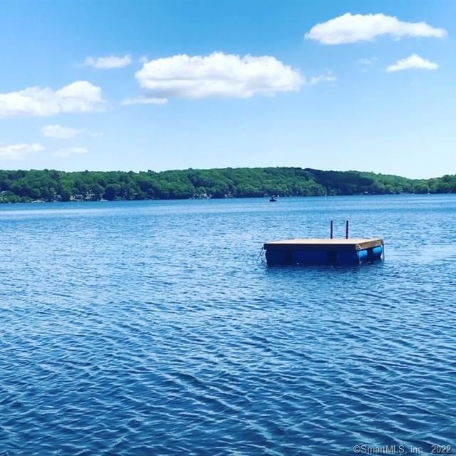 Welcome to Bashan Lake. CT's second cleanest lake!