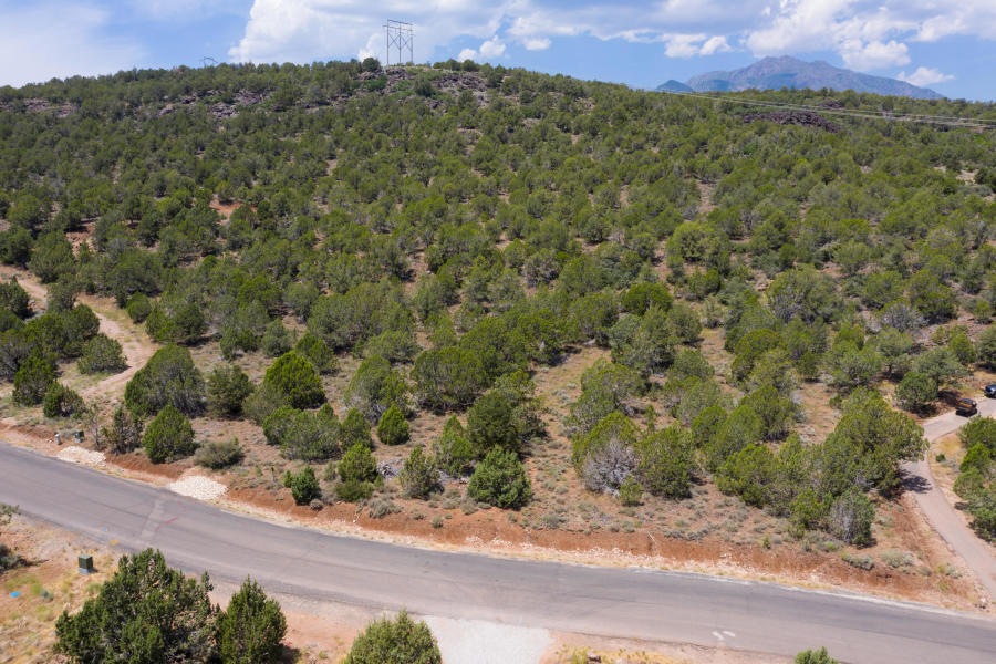 Lot View