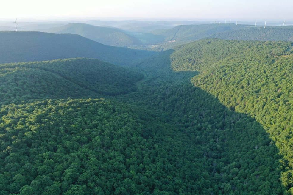 0 Fire Tower Rd unit 11493625, Tunkhannock, PA 18657 - photo 1