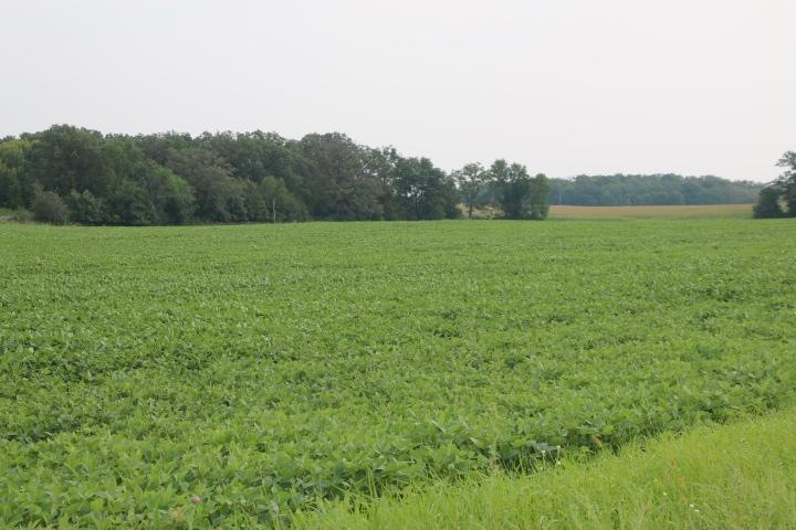 00005 County Road 14 NE, Spruce Hill Township, MN - photo 1