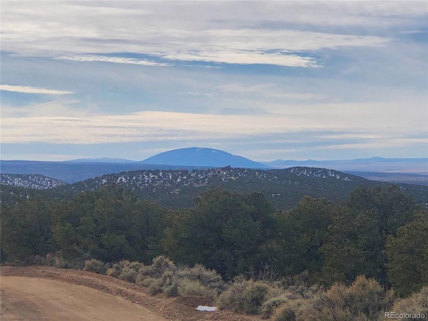 00 Rd, Fort Garland, CO 81133 - photo 1