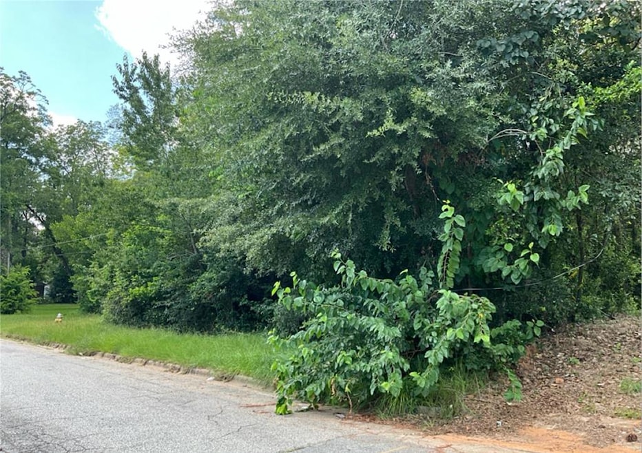 1217 E Roosevelt Ave, Albany, GA 31705 - photo 1