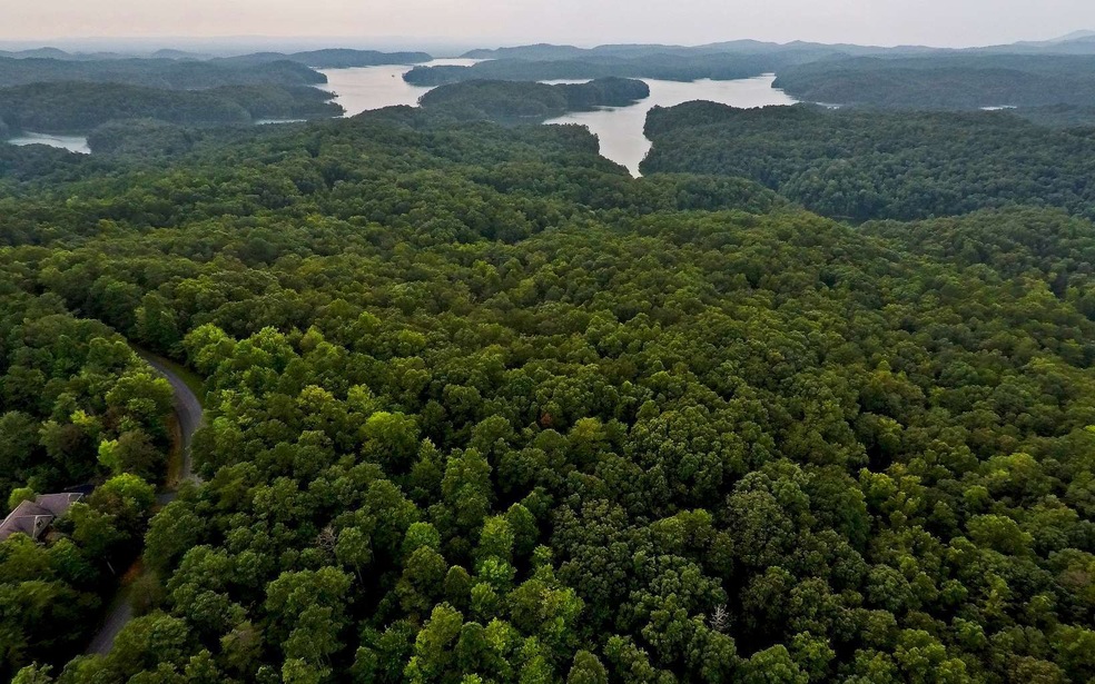 LT169 Doll Mountain Rd, Ellijay, GA 30540 - photo 1