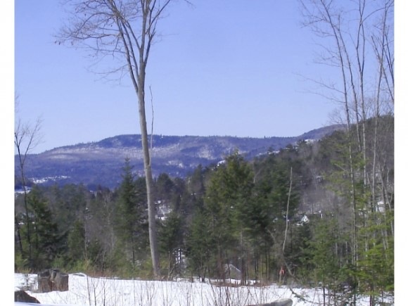 L 02 Timber Ln, Littleton, NH 03561 - photo 1