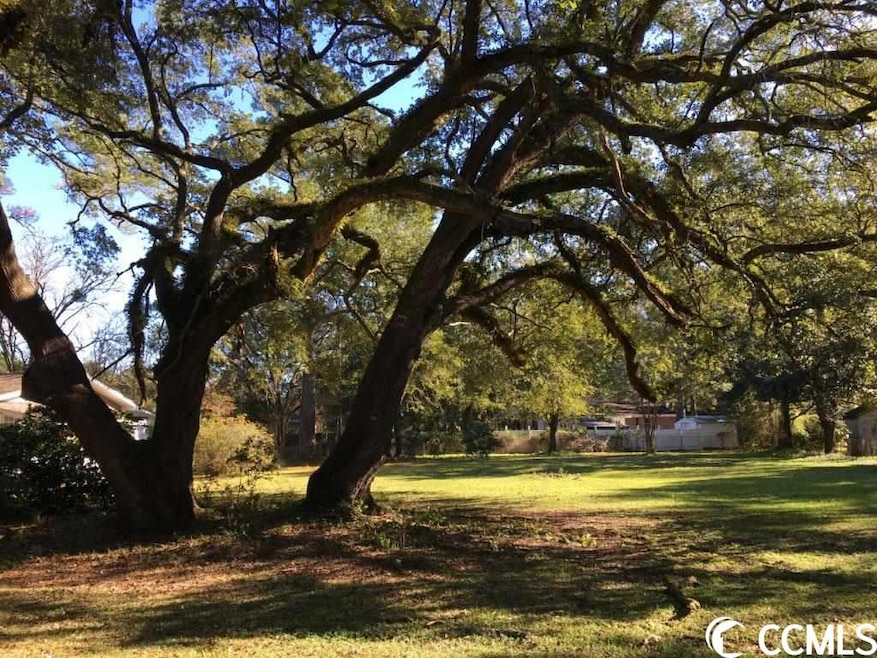 TBD Wren St, Georgetown, SC 29440 - photo 1