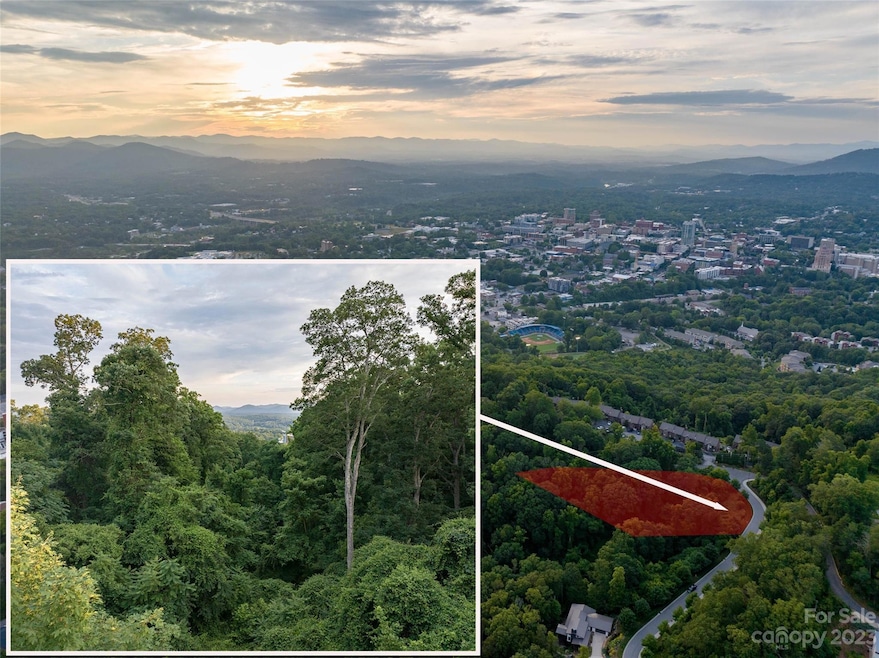 44 Samuel Ashe Dr, Asheville, NC 28805