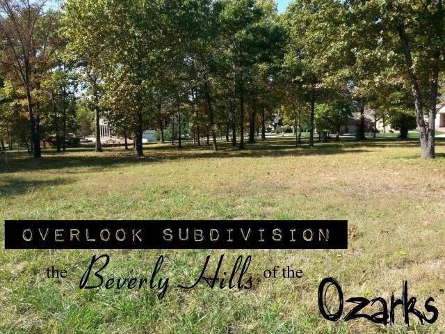 Lot 284 Little Aunts Creek Rd, Kimberling City, MO 65686 - photo 1