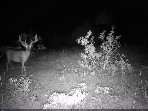 0 Cr 286 unit 20944951, Gustine, TX 76455 - photo 1