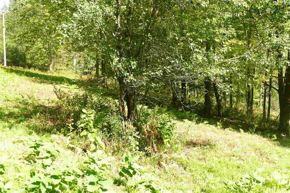 0 Sallies Ln unit Lot A-3, Stowe, VT 05672 - photo 1