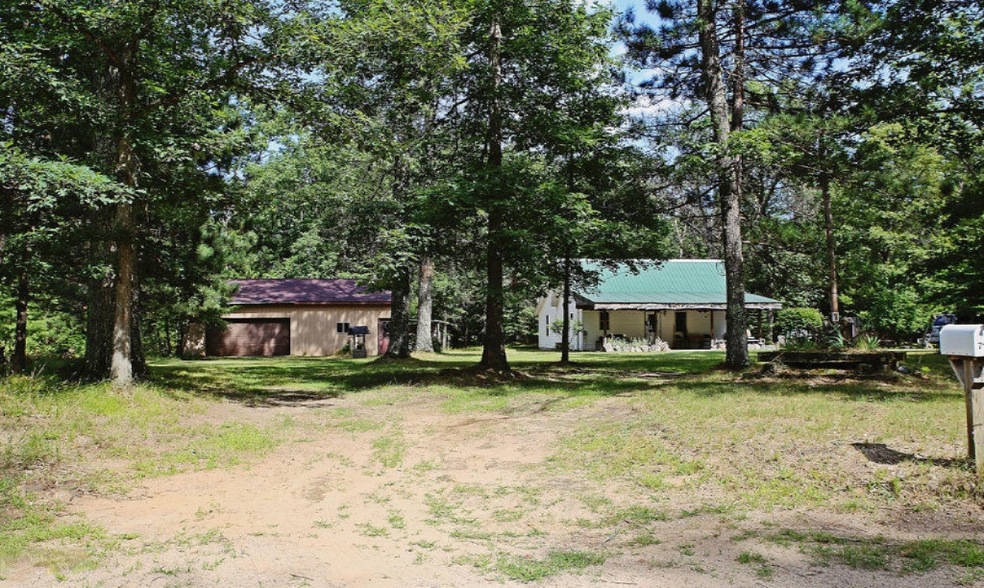 7180 N Walnut Ave, White Cloud, MI 49349 - photo 1