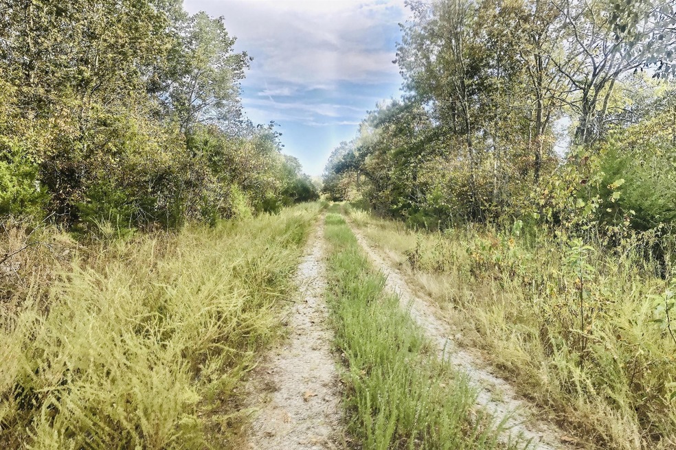 Gorgeous views from tree-lined approach to front half of acreage