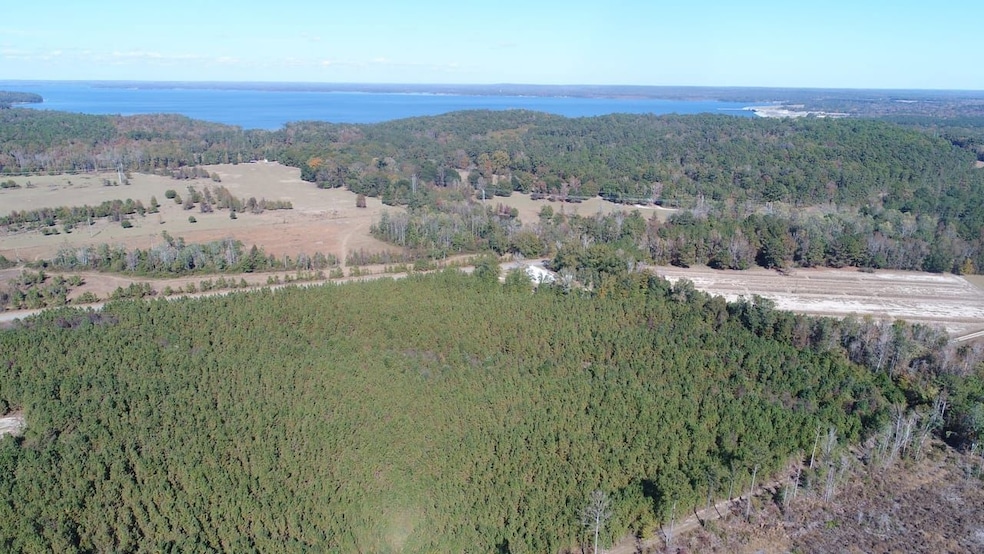 Henry Co Rd 46, Shorterville, AL 36373 - photo 1