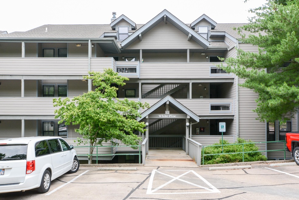 12 Treehouse Lane Branson MO (1)