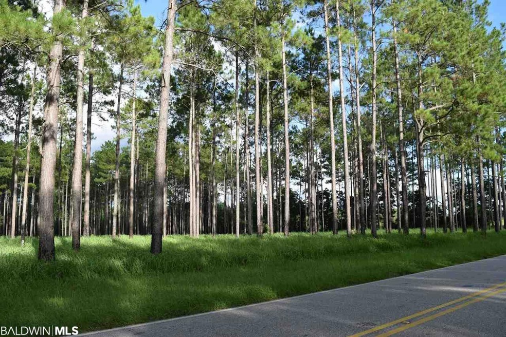 32534 County Road 64 Extension, Robertsdale, AL 36567 - photo 1