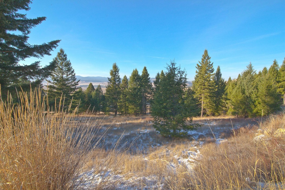 235 Walking Coyote Dr unit Lot 74, Kalispell, MT 59901 - photo 1