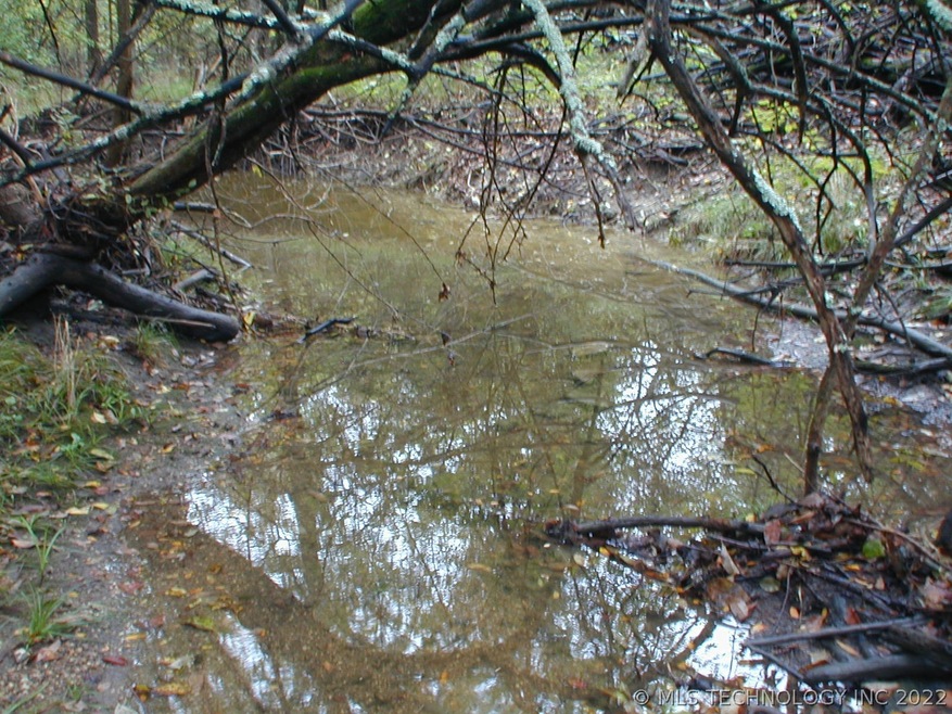 PROPERTY HAS A SEASONAL STREAM