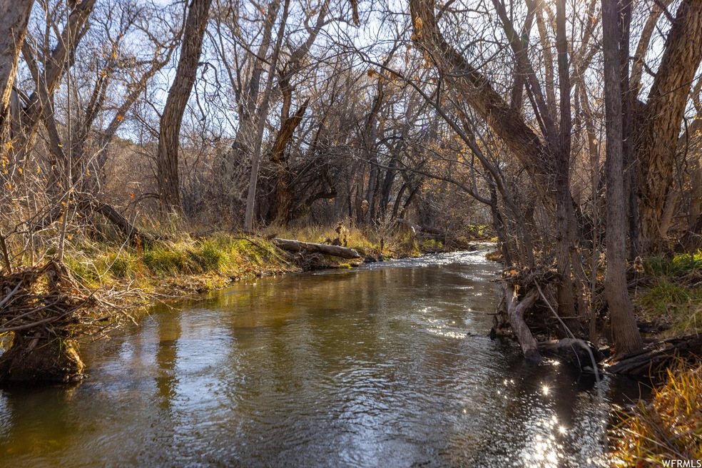 lot picture 4