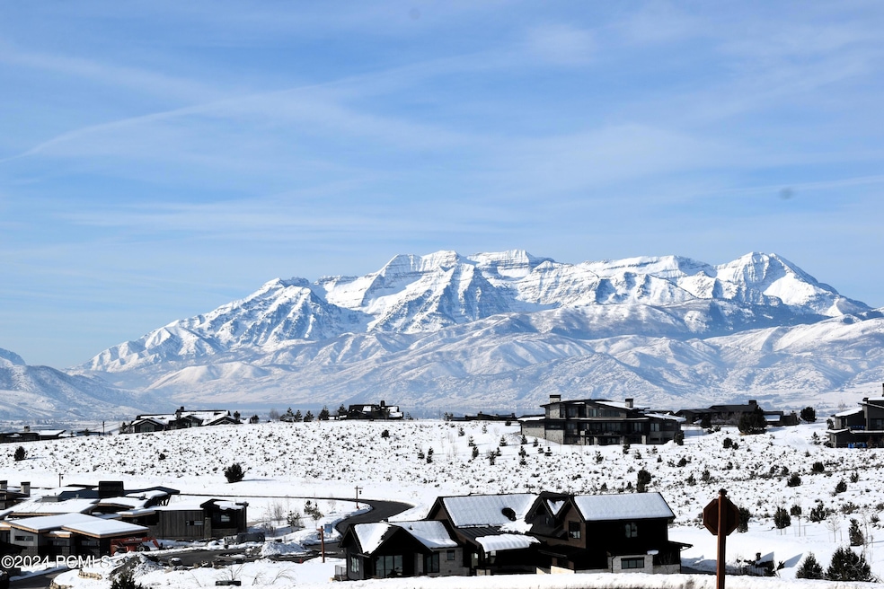 View from homesite