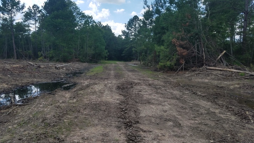 Road to Property