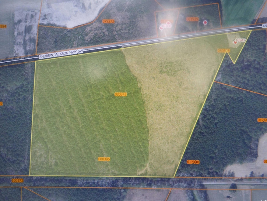 TBD Near 10547 Andrew Jackson Hwy SW, Fair Bluff, NC 28439 - photo 1