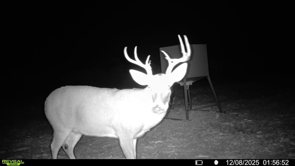 Farm To Market Road 716, Realitos, TX 78376 - photo 1