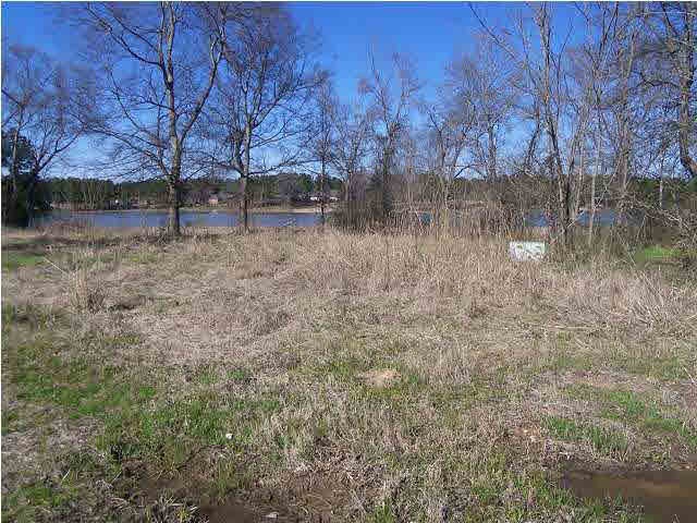 384 Mannsdale Rd unit 6, Madison, MS 39110 - photo 1